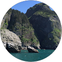 Danielle Kettelkamp profile picture